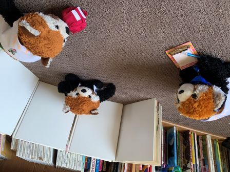 Hamlet coaching The Red Panda Rockets!